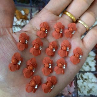 Hoa bột, hoa cúc( gạt ảnh chọn màu)