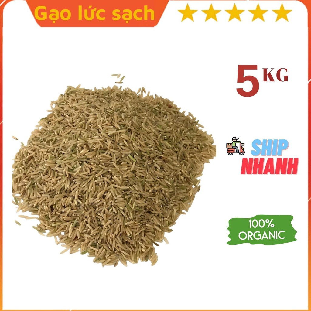 GẠO LỨC SẠCH NAM ĐỊNH 888 Giống ST24 (Túi 5KG)  (Cơm Ngon - Dẻo - Thơm)