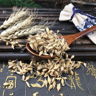 Trà Hạt lúa mạch lên mầm rễ sấy khô 100g.
