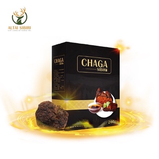 NẤM CHAGA SIBIRI – Hộp 500gr