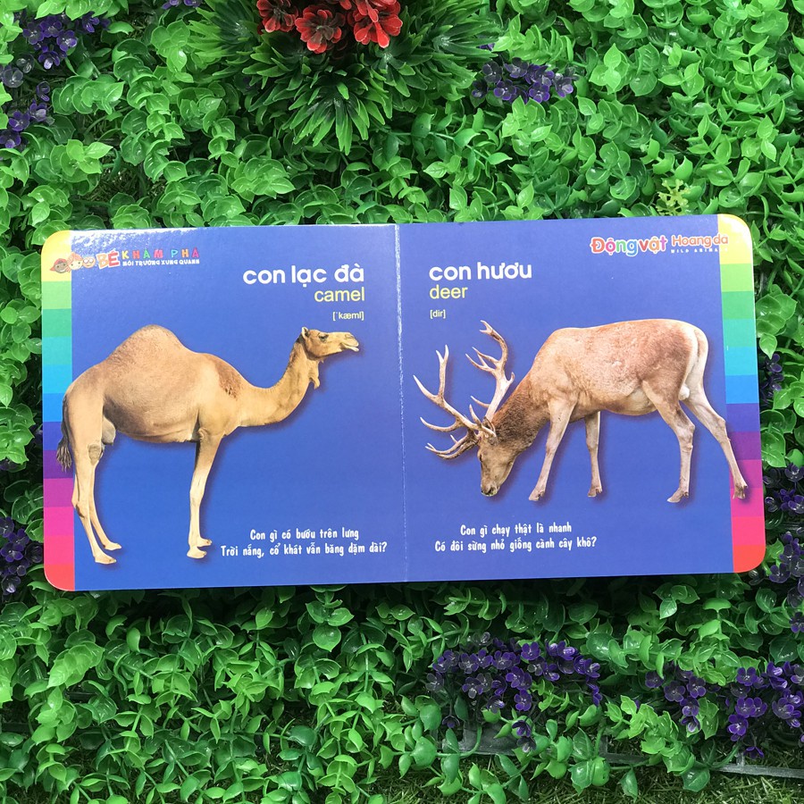 Sách: Bé Khám Phá Môi Trường Xung Quanh - Động Vật Hoang Dã - TSMN
