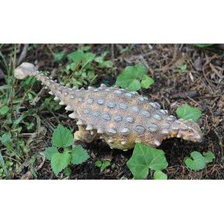 Mô hình khủng long ankylosaurus hãng pnso