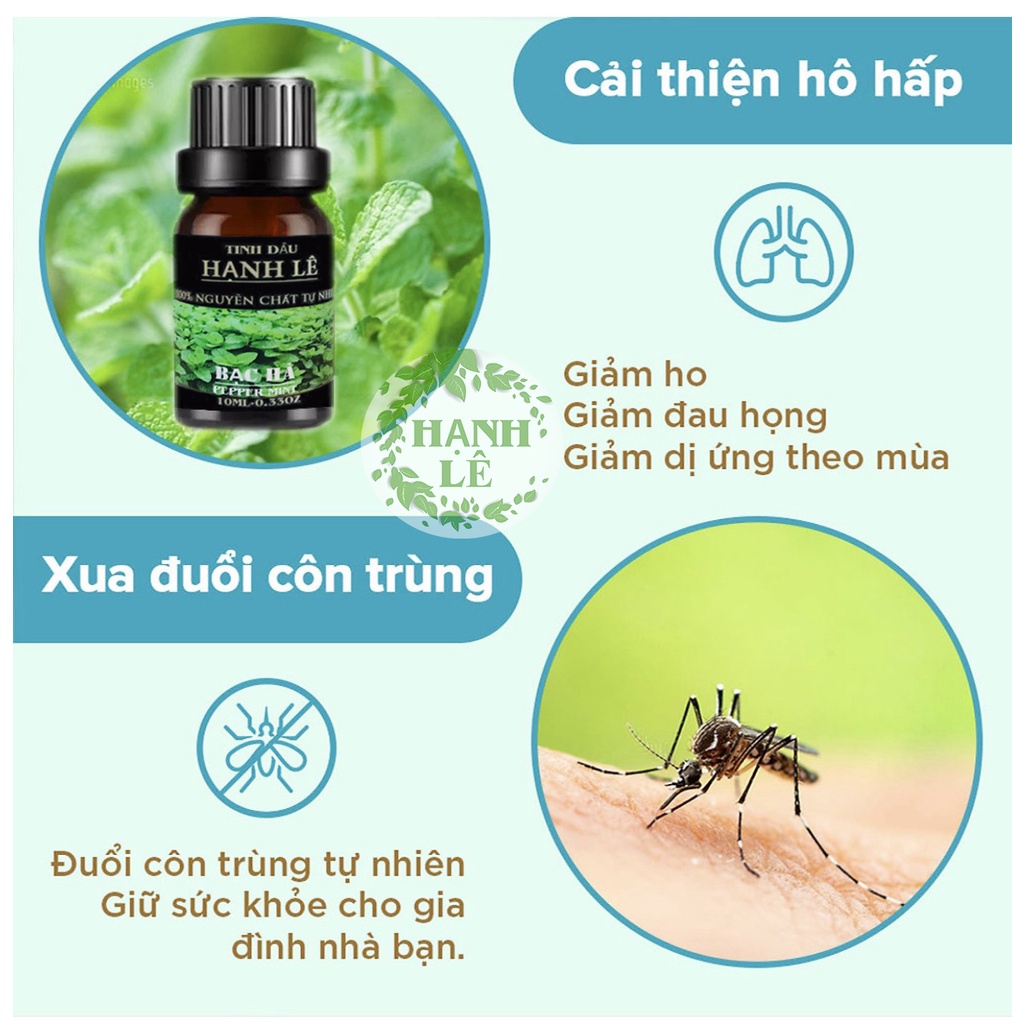 Tinh dầu Bạc Hà Hạnh Lê | tinh dầu đuổi muỗi