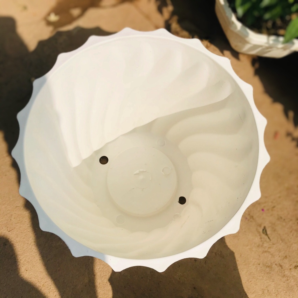 Chậu trồng cây, chậu nhựa trồng cây khía xoắn màu trắng 3 kích thước