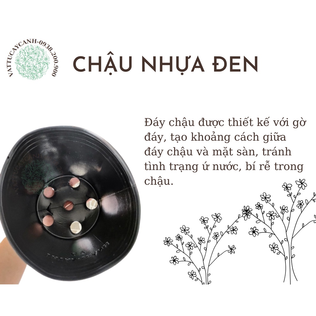 Chậu nhựa đen C7 & C5 dày dặn dùng trồng cây