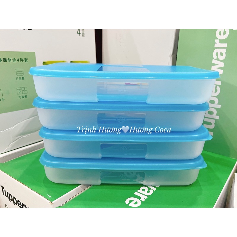 Bộ hộp trữ đông TUPPERWARE dẹt 650ml/hộp