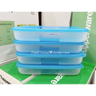 [HÀNG CÓ SẴN CHÍNH HÃNG] Bộ hộp trữ đông TUPPERWARE dẹt 650ml/hộp