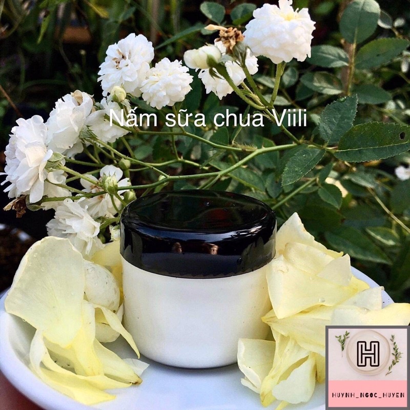 Nấm viili (nấm làm sữa chua)