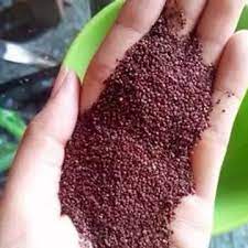 Mặt Nạ Ngũ Hoa Gói 1kg Ngũ Hoa Hạt Nguyên Chất Organic