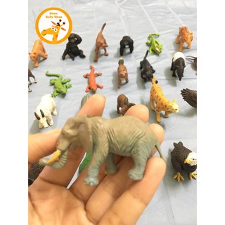 MÔ HÌNH 36 ĐỘNG VẬT HOANG DÃ