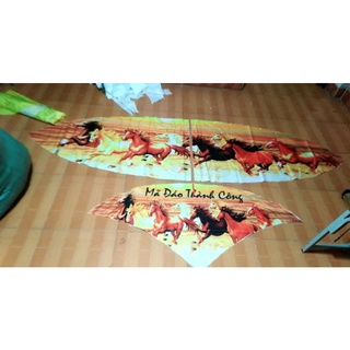 Áo diều sáo in 3d