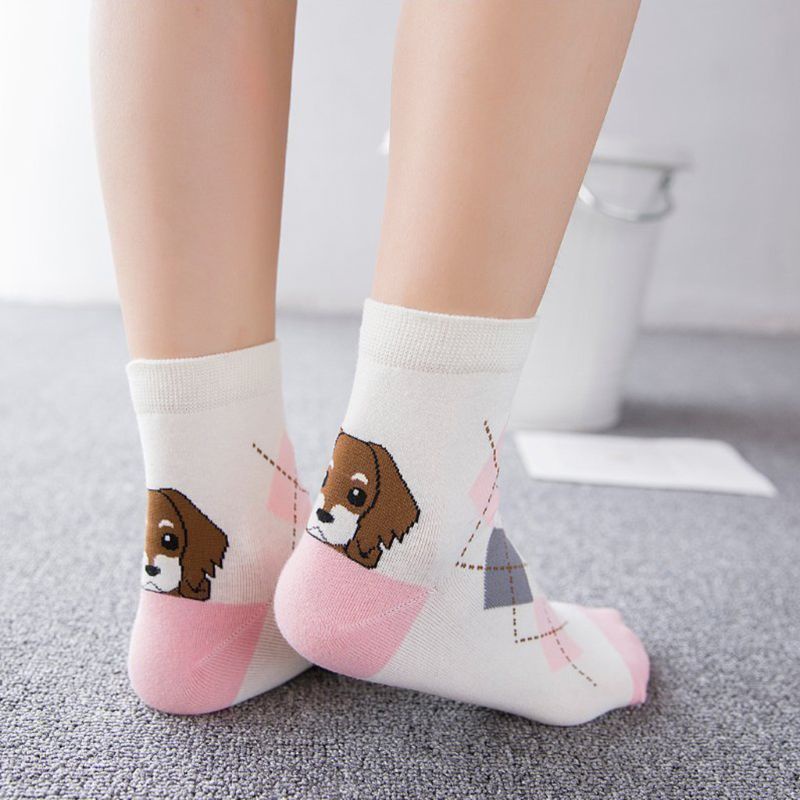Bộ 5 Đôi Vớ Cotton Họa Tiết Hoạt Hình Chú Chó Vui Nhộn Phong Cách Harajuku Hàn Quốc Cho Nữ