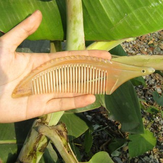 Lược Sừng Bò Châu Phi Hình Lá