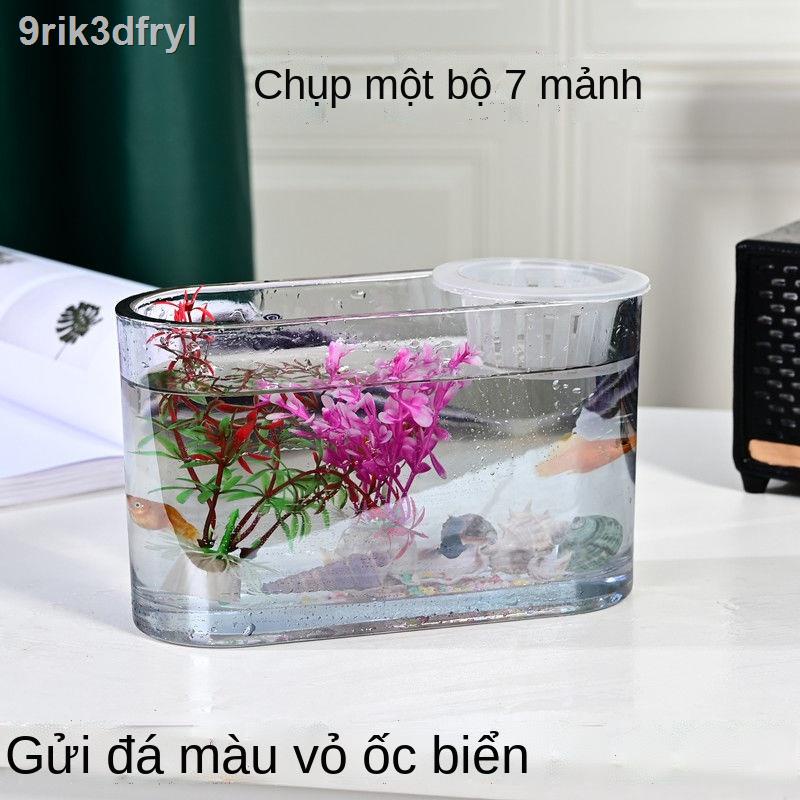 ✣ ✿∋♗Một lần đúc bể cá nhỏ thủy tinh dài bảy màu vành đai trong suốt giỏ trồng đơn giản bàn phòng khác