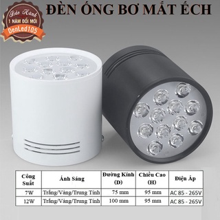 ĐÈN LED LON NỔI 7W-12W MẮT ẾCH. SÁNG TRẮNG, VÀNG, TRUNG TÍNH