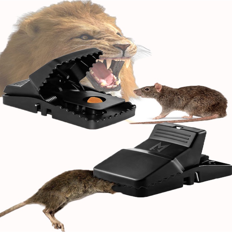 Bẩy Chuột Thông Minh - Keo bẩy chuột siêu nhạy