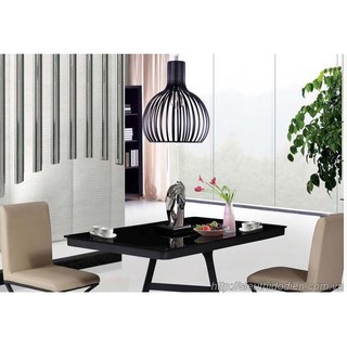 Đèn thả sắt tròn phi D220 cao h280mm đèn thả trang trí lồng chim