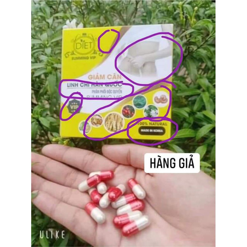 Giảm Cân Linh Chi Hàn Quốc (ltrình dùng thử 15 ngày giảm 3-5kg ) | BigBuy360 - bigbuy360.vn