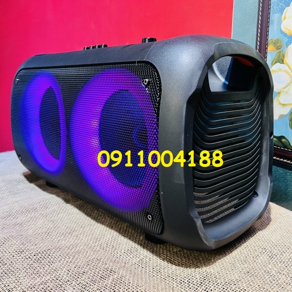 Loa karaoke mini di động Temeisheng 6616 LED Âm thanh siêu chất lượng + Tặng kèm 2 micro hút âm hát karaoke hay