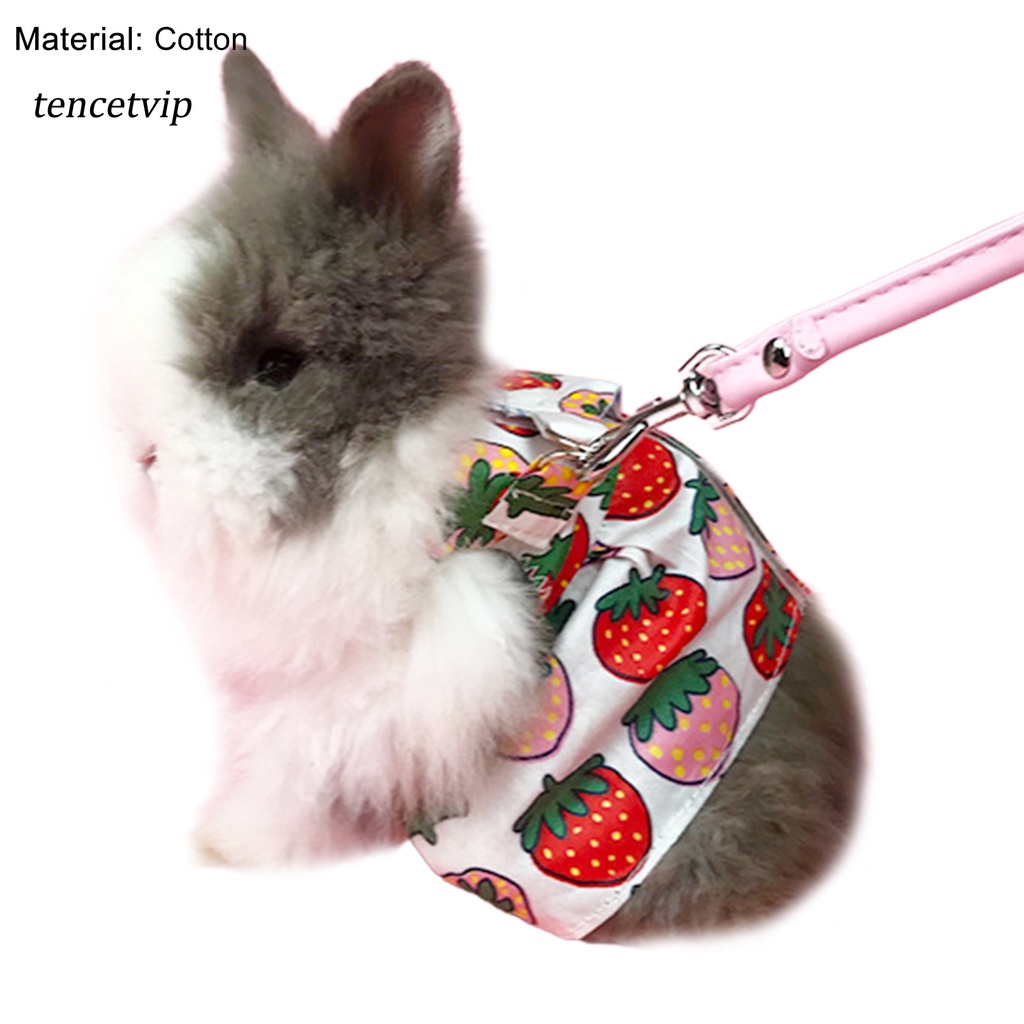 Áo Vest Có Dây Dắt Thỏ / Hamster Nhiều Màu Sắc