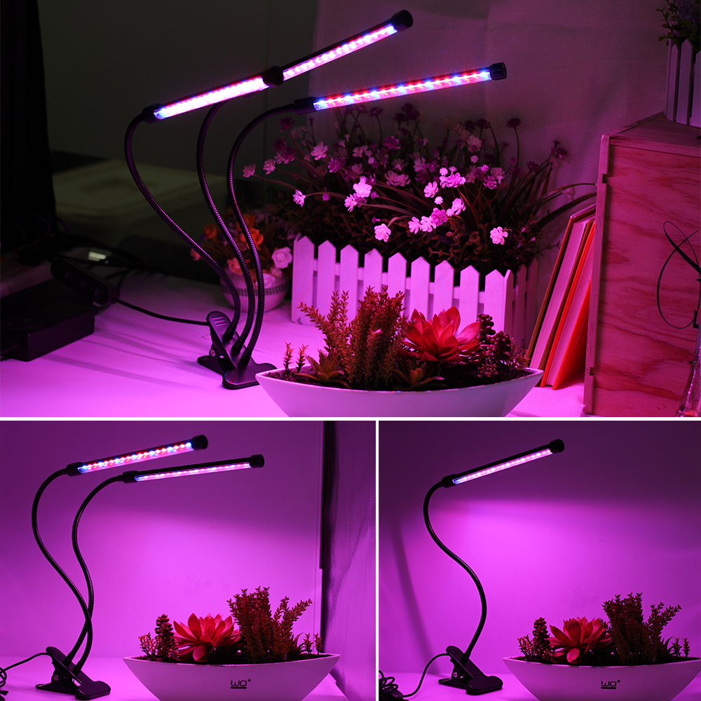 Đèn LED Trồng Cây Trong Nhà 5V 9W 36W 60W