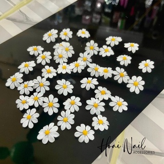 Hoa bột cúc hoạ mi ( giá 1 bông)