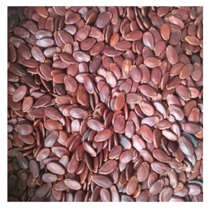 500gr Hạt dưa sấy giòn - đồ ăn vặt Sài Gòn, thơm ngon đậm vị- Hỏa tốc TPHCM - ViXi Food
