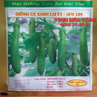 Hạt giống cà phổi | cà xanh lai F1 Siêu to trái -  MUA 10 GÓI FREE SHIP