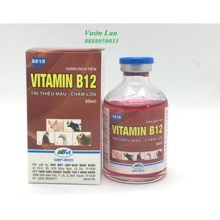 Vitamin B12 cho hoa lan, cây cảnh 50ml giải độc cây, tái tạo tế bào