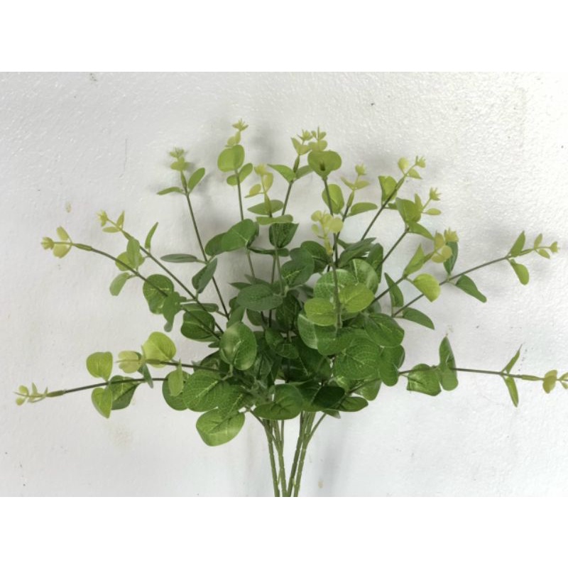 Cụm táo 16 nhánh 💥 Freeship💥_ lá điểm