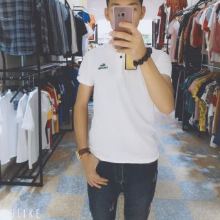 Áo phông có cổ