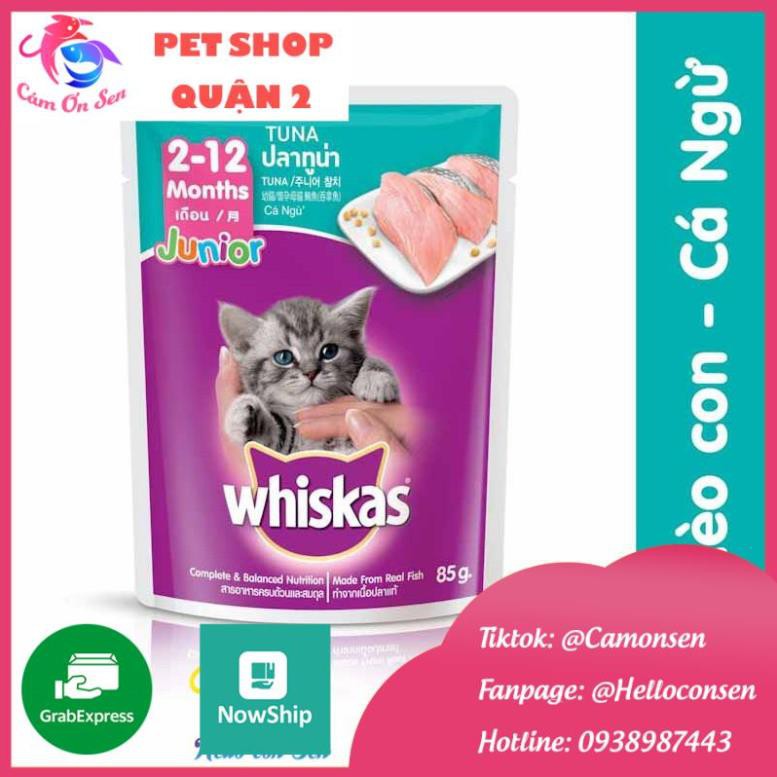 [MUA 6 TẶNG 1] 6 PATE WHISKAS CHO MÈO CON VỊ CÁ NGỪ DATE XA THỨC ĂN CHO MÈO PATE MÈO