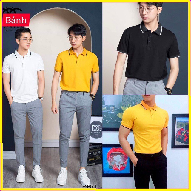 [Free Ship] Áo polo nam phong cách Hàn - chất liệu gai cá sấu