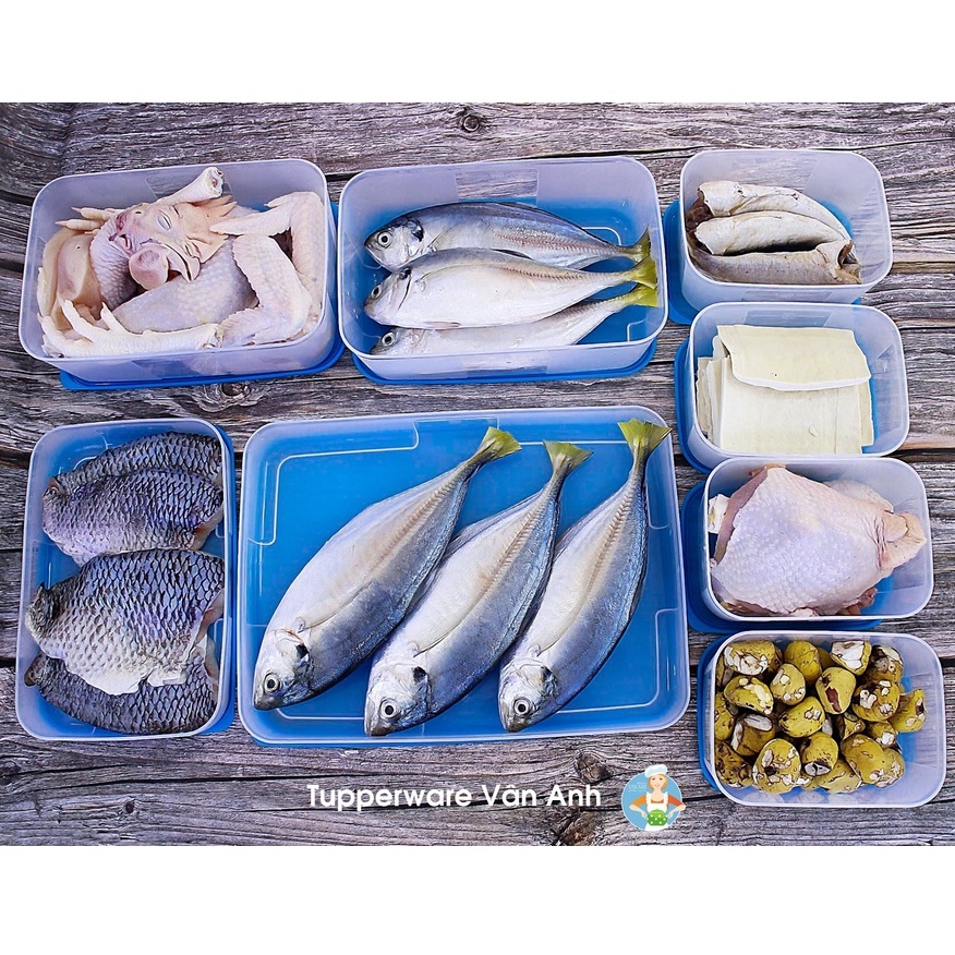 Set 7 hộp trữ đông Tupperware - Dung tích gọn gàng phù hợp cho mọi cỡ tủ lạnh - Chính hãng Tupperware