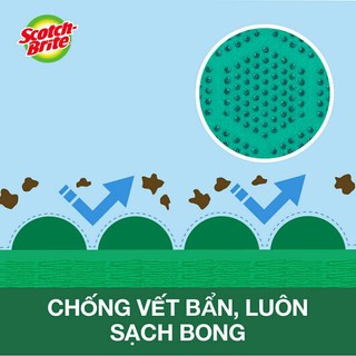 Combo 2 Miếng rửa chén Scotch Brite (Cót rai) 3M 2950 Hạt Nổi Siêu Sạch