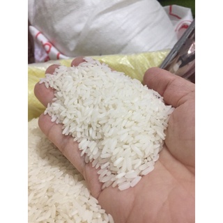 Gạo thơm lài sữa (10kg) dẻo mềm thơm cơm