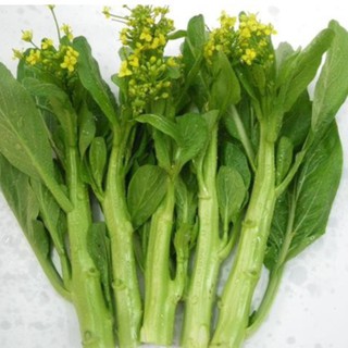20g Hạt giống Cải ngồng
