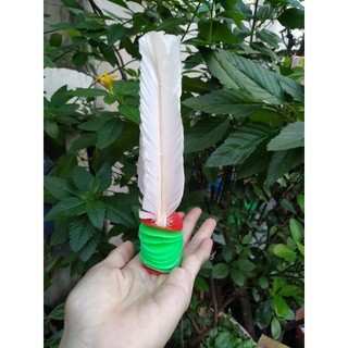 Cầu Đá Long Gà Sét 1 trái ( Cá Sấu Liên Hiệp Thành )