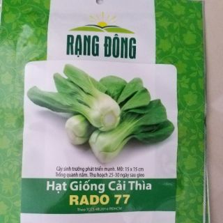 20g hạt giống cải thìa