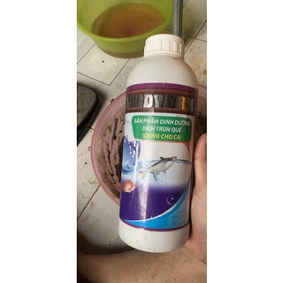 Dịch Trùn Quế
