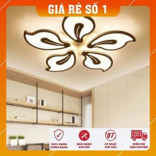 Đèn ốp trần - đèn ốp trần trang trí - Đèn trang trí - Đèn ốp 5 cánh xoài TV04 cao cấp - Tặng kèm điều khiển từ xa