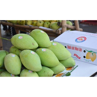 Xoài xanh  1kg - - giao hàng ifast - ifast.com.vn - cbig.vn - hệ thống tạp hóa cbig.vn