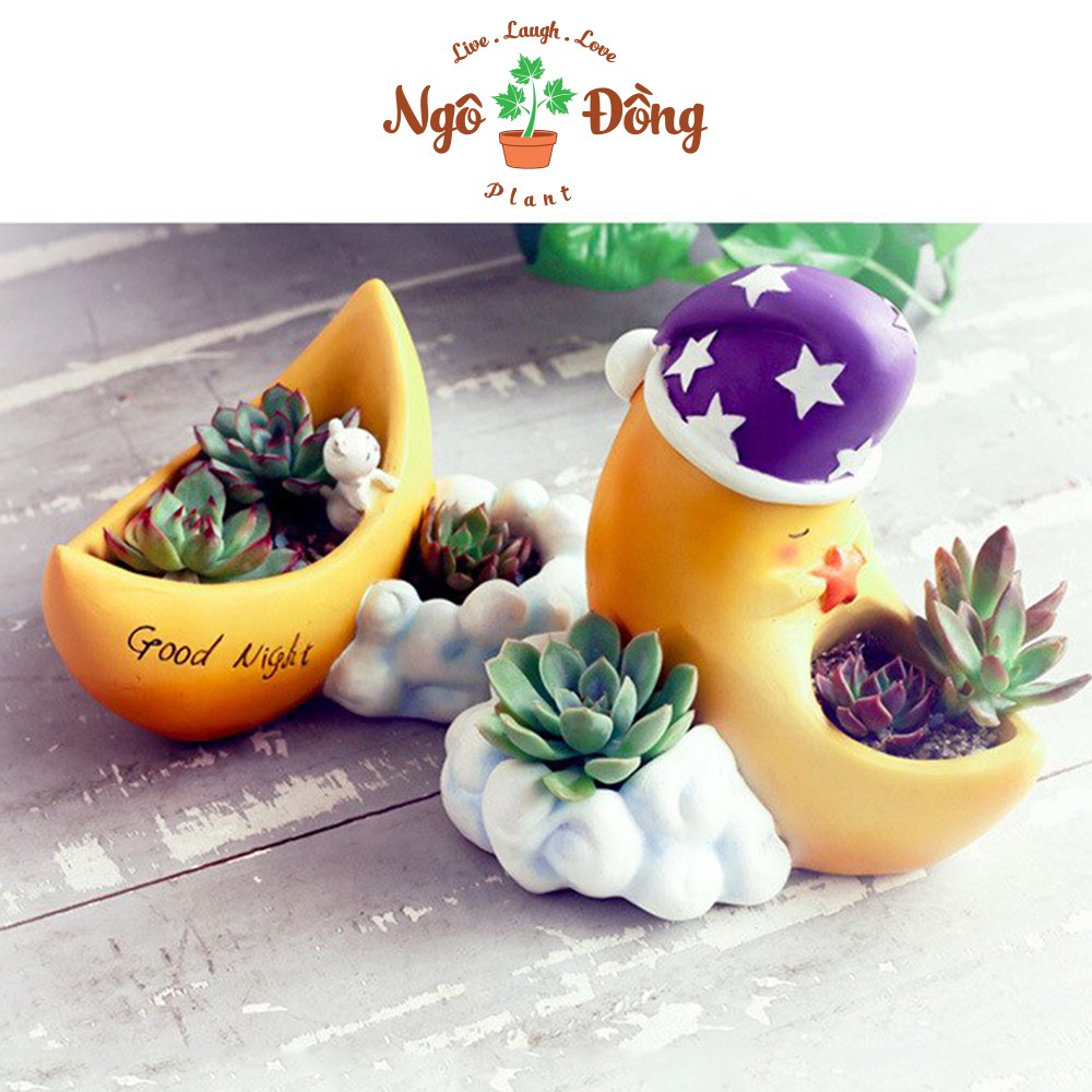 Bộ 2 Chậu Hoa Bonsai Sen Đá Mini Nhựa Hoạt Hình Mặt Trăng Mây Trắng và Mặt Trăng Mộng Mơ Trang Trí Nội Thất Nhà Cửa