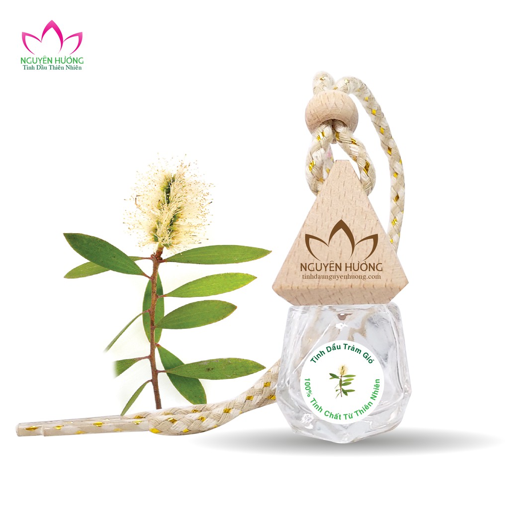 Tinh Dầu Tràm Gió (Cajeput) – 100% nguyên chất ( Treo xe, Xông thơm phòng.. ) | Thế Giới Skin Care