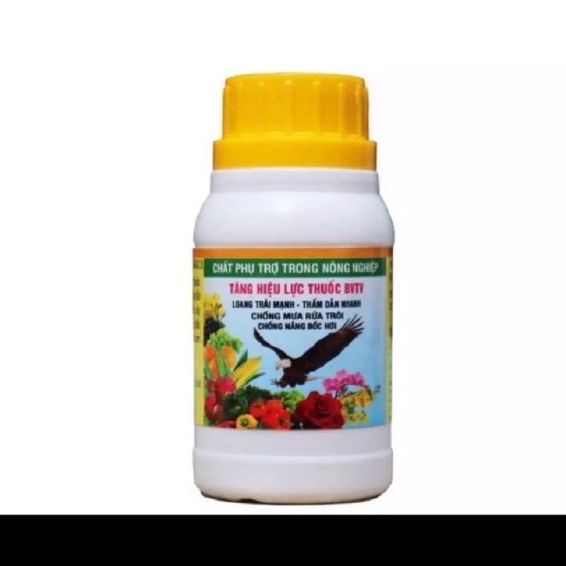 Chất lưu dẫn đại bàng