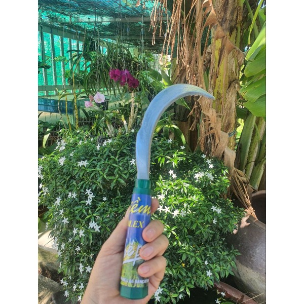 LIỀM APOLEX