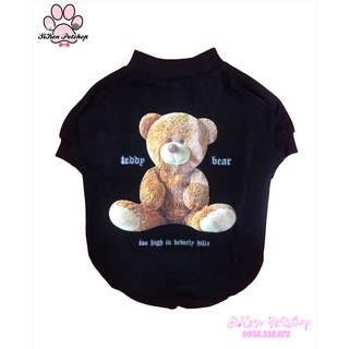 Áo thun teddy bear cho chó - mèo