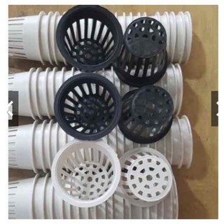 RỌ TRỒNG RAU THUỶ CANH 100 cái