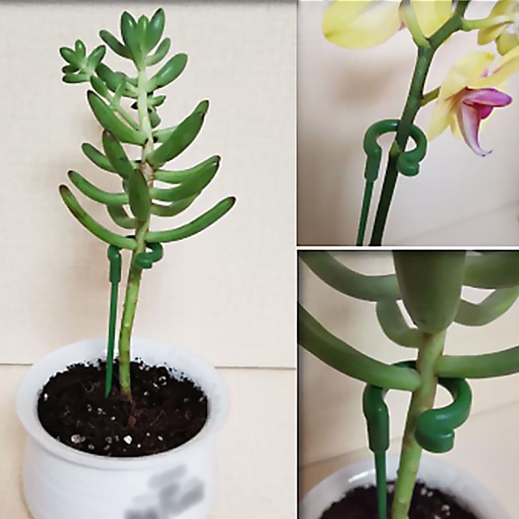 Set 10 Giá Đỡ Hỗ Trợ Cây Trồng Chất Lượng Cao