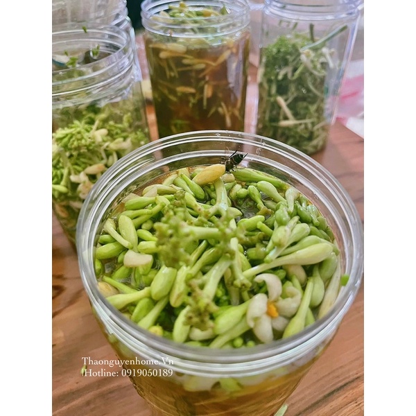 Hoa đu đủ đực sấy lạnh sao vàng (không phơi khô)